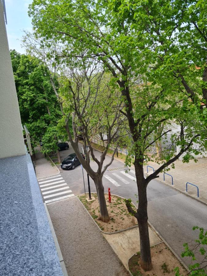 Apartment Alea Senj  Zewnętrze zdjęcie